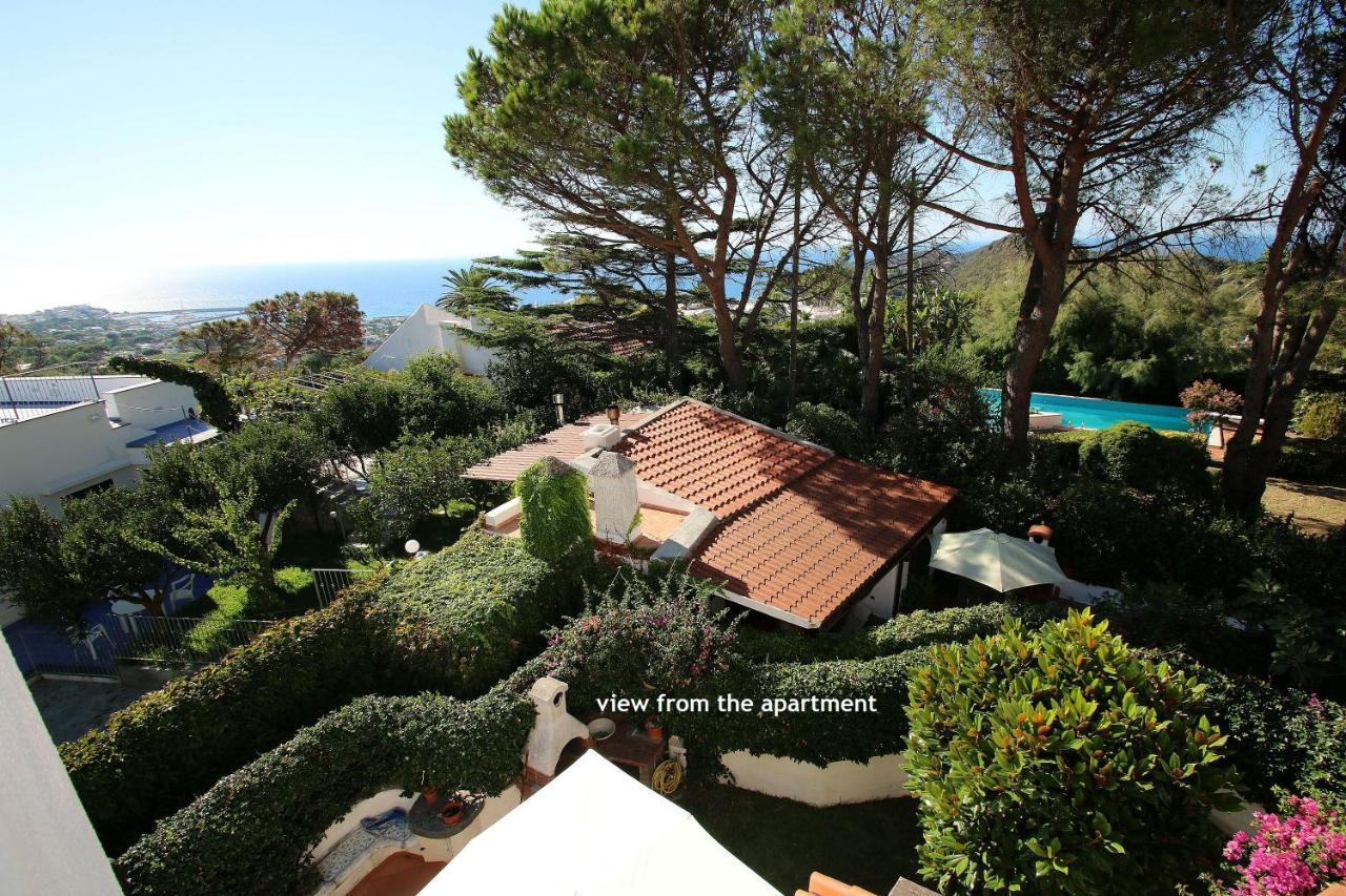 Lacco Terrace Solarium Лакко-Амено Экстерьер фото